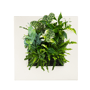 Mobilane LivePicture Go wit met kamerplanten